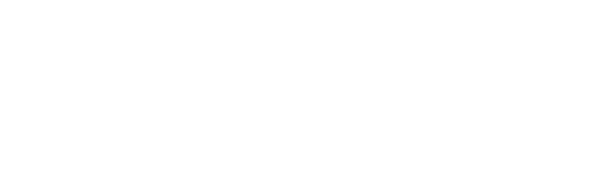 PerformX logo